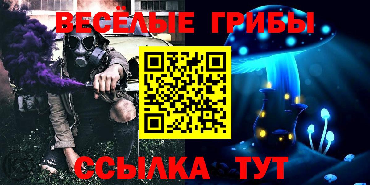 Зеленогорск  Галлюциногенные грибы Cubensis  Вход с VPN 